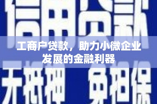通海工商户贷款，助力小微企业发展的金融利器