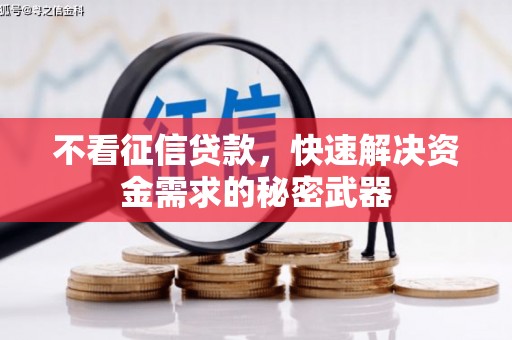 通海不看征信贷款，快速解决资金需求的秘密武器