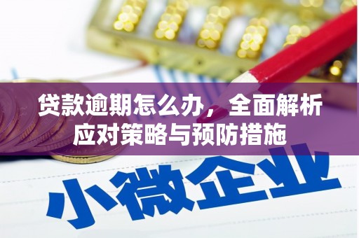 通海贷款逾期怎么办，全面解析应对策略与预防措施