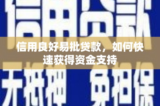 通海信用良好易批贷款，如何快速获得资金支持
