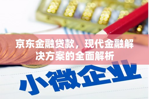 通海京东金融贷款，现代金融解决方案的全面解析