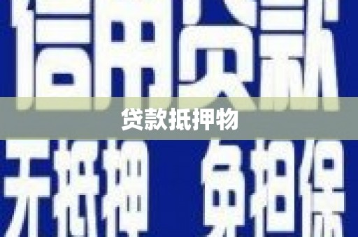通海贷款抵押物