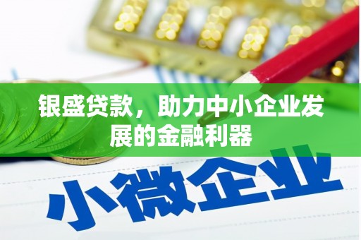 通海银盛贷款，助力中小企业发展的金融利器