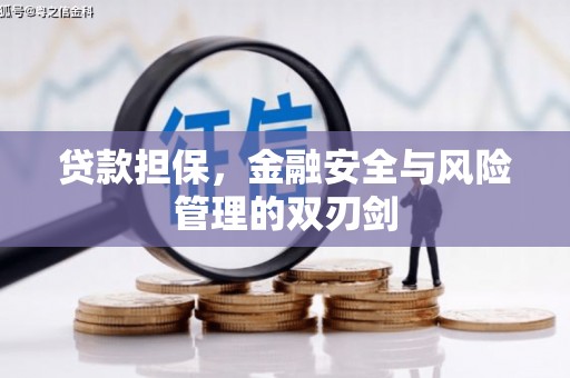 通海贷款担保，金融安全与风险管理的双刃剑