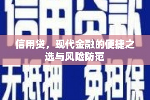 通海信用贷，现代金融的便捷之选与风险防范