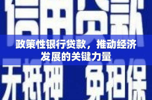 通海政策性银行贷款，推动经济发展的关键力量