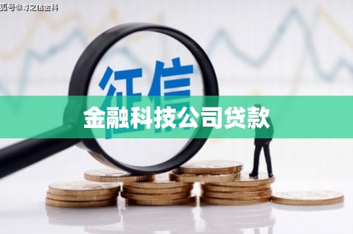通海金融科技公司贷款