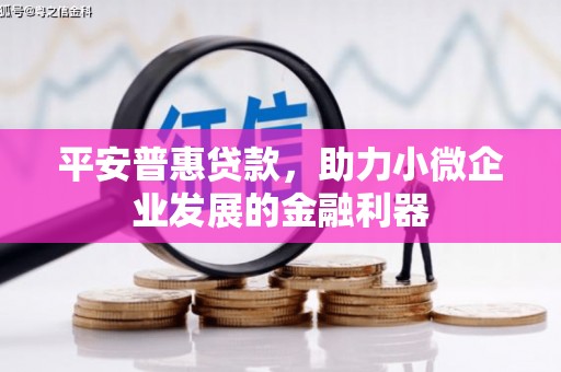 通海平安普惠贷款，助力小微企业发展的金融利器