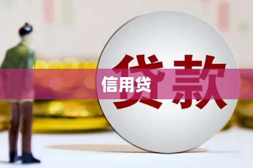 通海信用贷