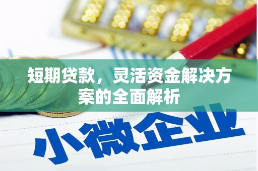 通海短期贷款，灵活资金解决方案的全面解析