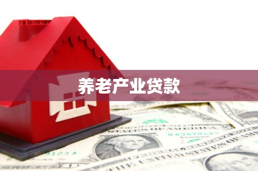 通海养老产业贷款