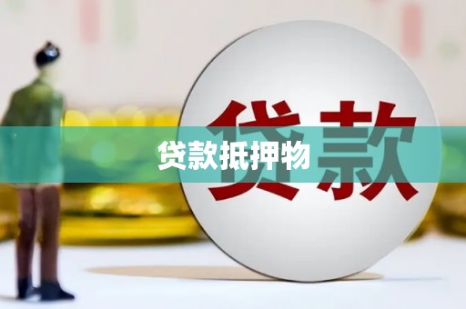 通海贷款抵押物