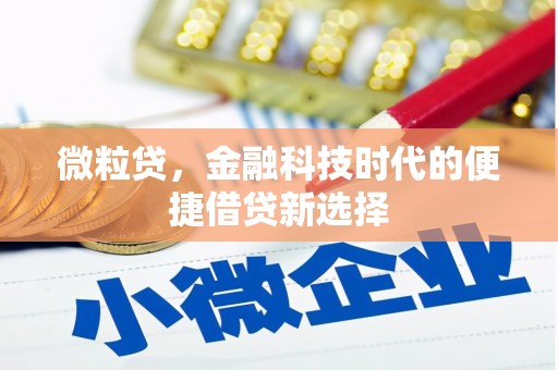通海微粒贷，金融科技时代的便捷借贷新选择
