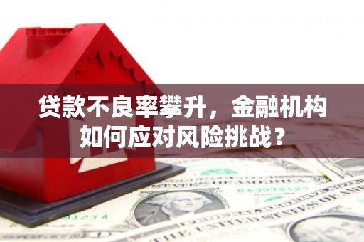 通海贷款不良率攀升，金融机构如何应对风险挑战？