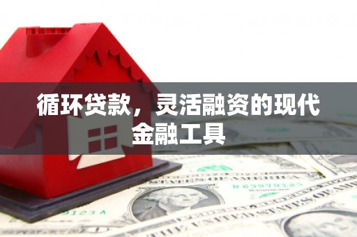 通海循环贷款，灵活融资的现代金融工具