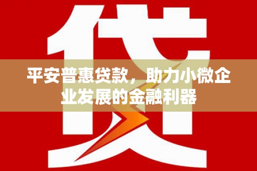 通海平安普惠贷款，助力小微企业发展的金融利器