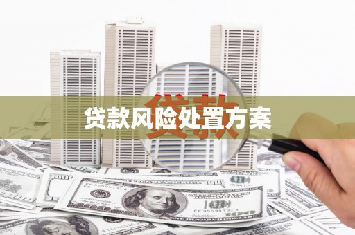 通海贷款风险处置方案