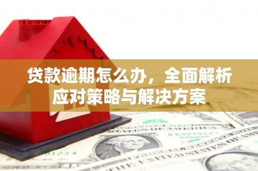 通海贷款逾期怎么办，全面解析应对策略与解决方案