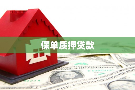 通海保单质押贷款
