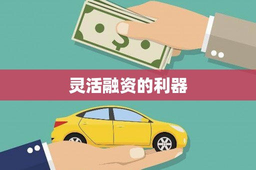 通海灵活融资的利器