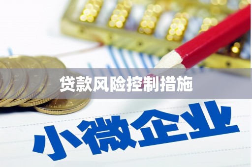 通海贷款风险控制措施
