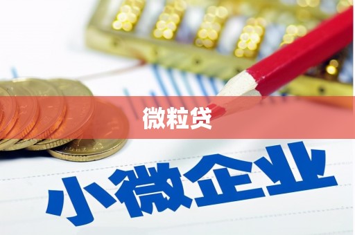 通海微粒贷