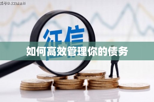 通海如何高效管理你的债务