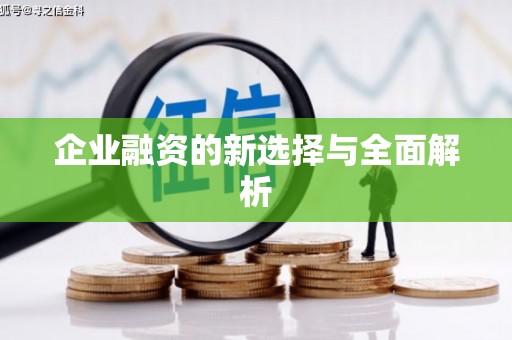 通海企业融资的新选择与全面解析