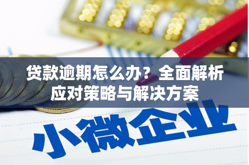通海贷款逾期怎么办？全面解析应对策略与解决方案