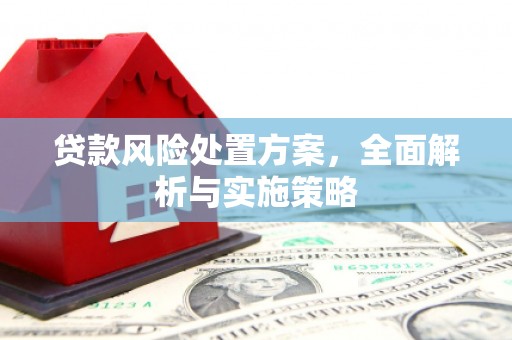 通海贷款风险处置方案，全面解析与实施策略