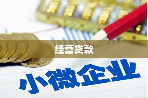 通海经营贷款