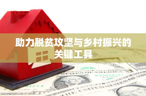 通海助力脱贫攻坚与乡村振兴的关键工具