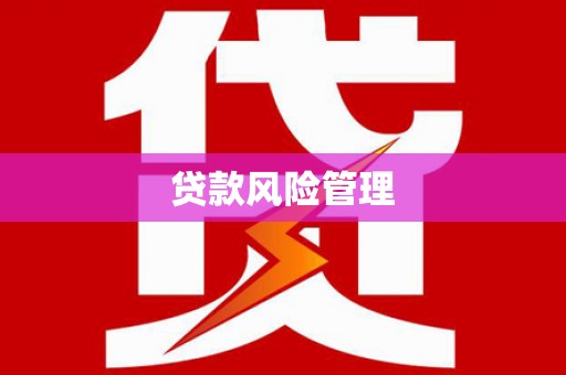 通海贷款风险管理